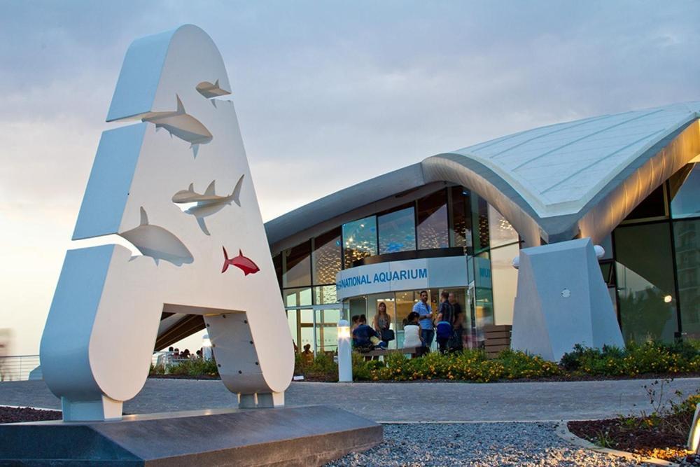 Aquae Stays St. Paul's Bay Exterior foto